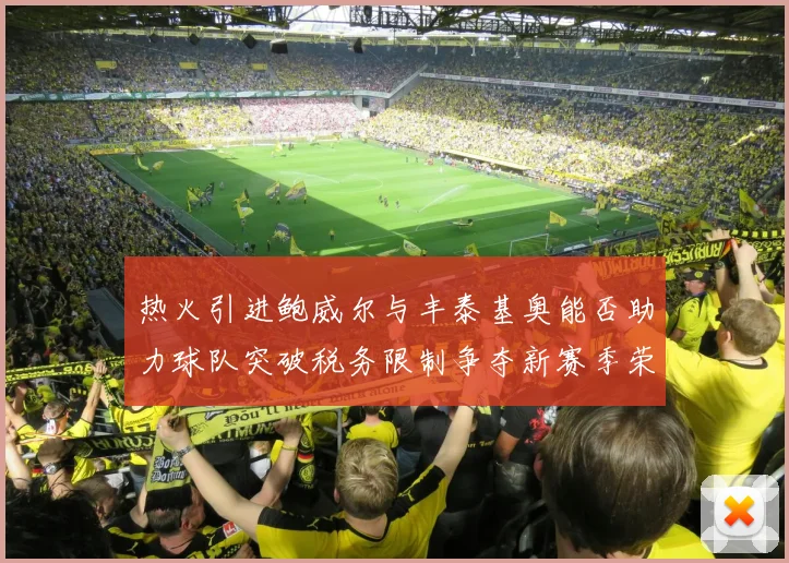 热火引进鲍威尔与丰泰基奥能否助力球队突破税务限制争夺新赛季荣誉