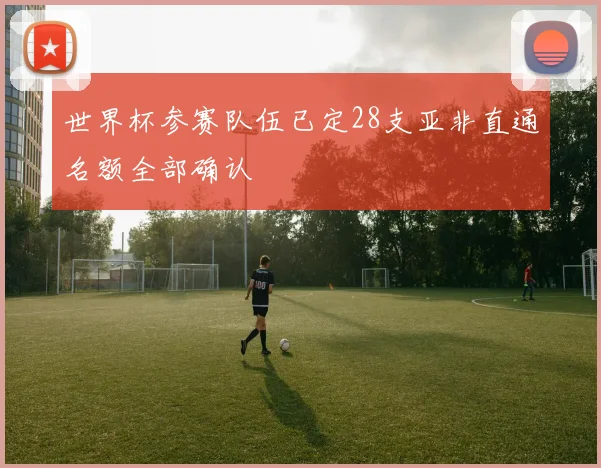 世界杯参赛队伍已定28支亚非直通名额全部确认